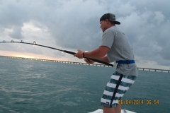 Try Tarpon Fishing at the Seven Mile Bridge!