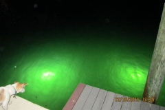 Docklight