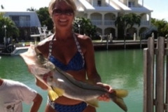 Or Just Try Your Luck Right Off Our Dock!